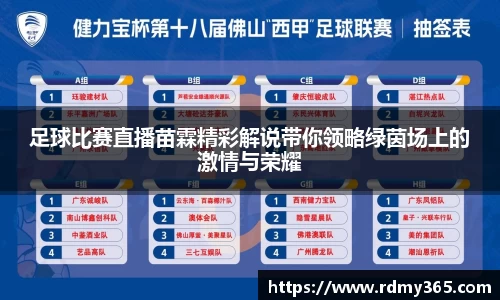 足球比赛直播苗霖精彩解说带你领略绿茵场上的激情与荣耀