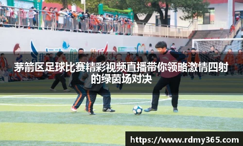美嘉体育平台